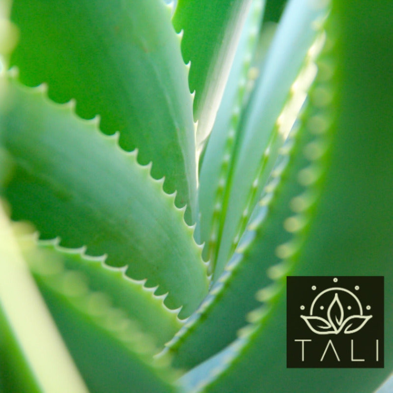 Gel De Aloe Vera - Tali Natural- 150 Ml